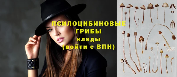 скорость Аркадак